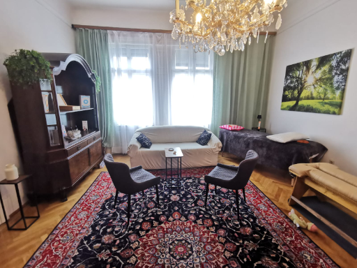 Unser Behandlungsraum befindet sich in der schönen Josefstadt im 8. Wiener Stadtbezirk. Sie finden uns in der Alser Straße 21 in 1080 Wien.
